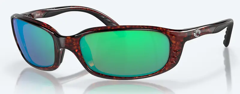 06S9017- Brine Tortoise 1