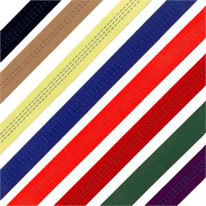 1" Tubular Webbing 1