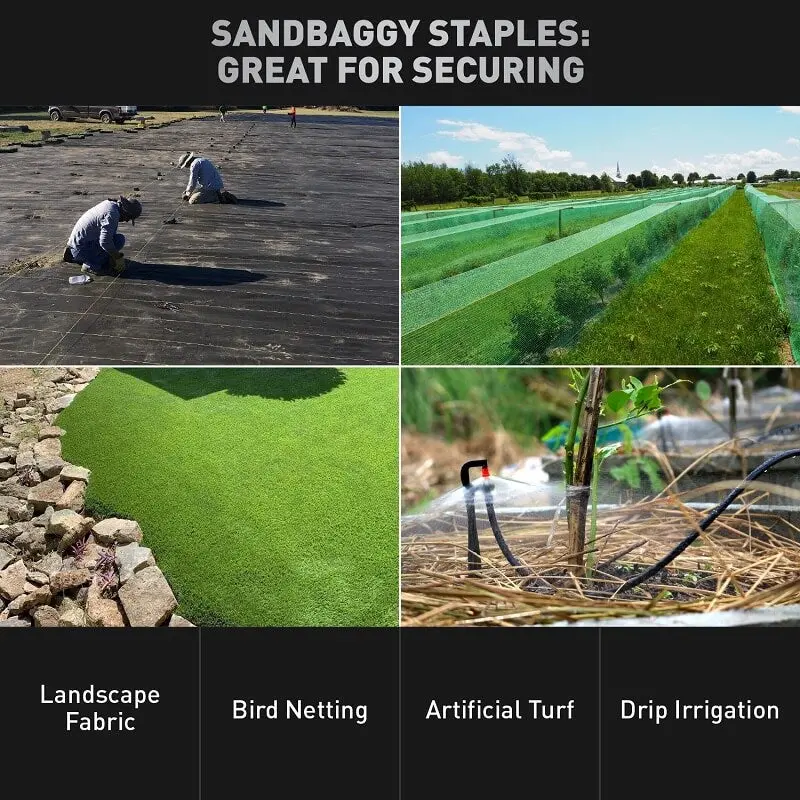2 In. Wide Landscape Staples (2X Wider, 25% Thicker) - Heavy Duty Galvanized Steel 16