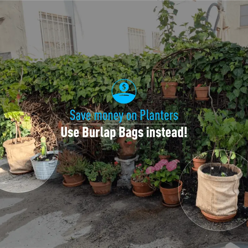 22" X 36" Burlap Bags Sacks (100 Lb Capacity) - Food Grade 10