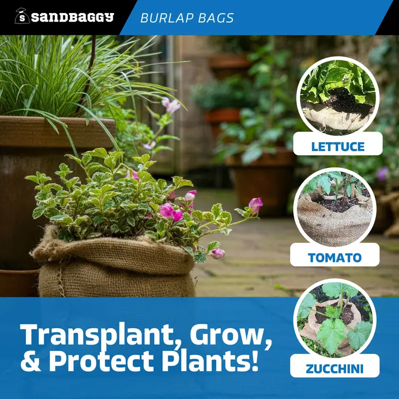 22" X 36" Burlap Bags Sacks (100 Lb Capacity) - Food Grade 6