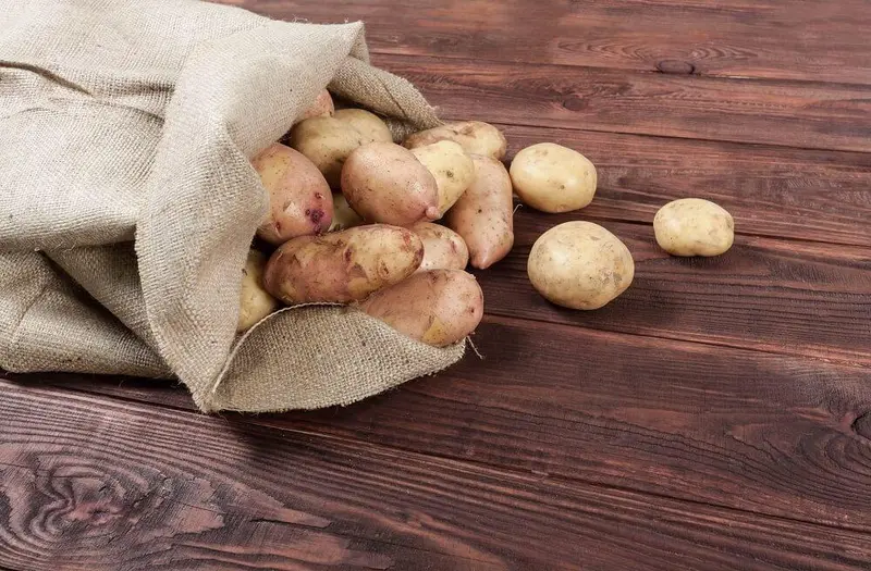 22" X 36" Burlap Bags Sacks (100 Lb Capacity) - Food Grade 8