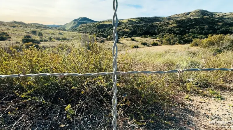 42 In. Wire Fence Stays - Class 1 Galvanized Steel - Barbed & Barbless Wire 7