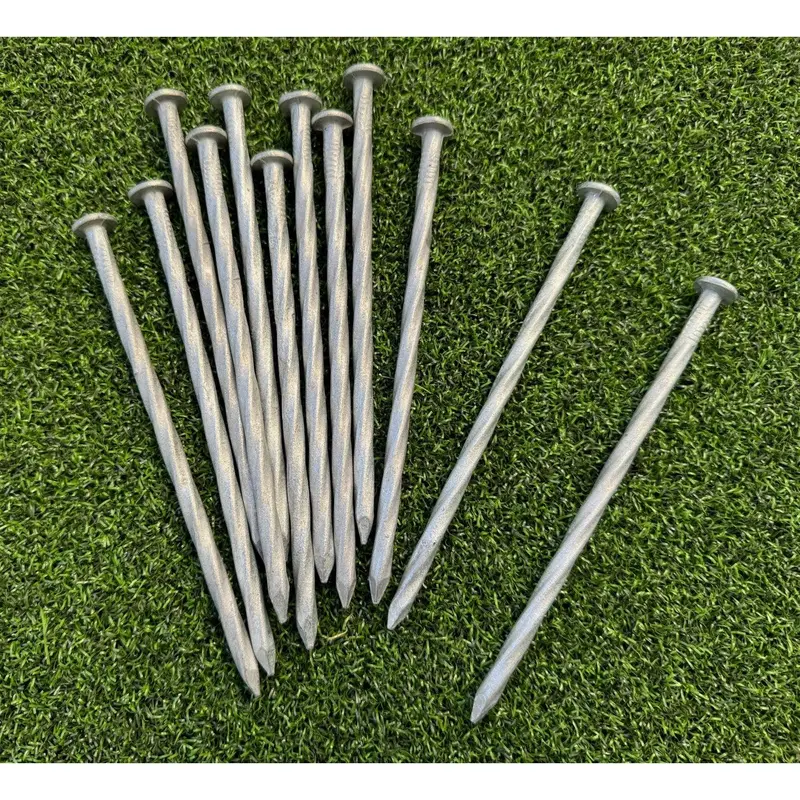 6 In. Heavy Duty Galvanized Spiral Artificial Turf Nails - 3 Gauge Steel 1