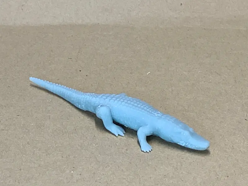 Alligator Relaxing 1