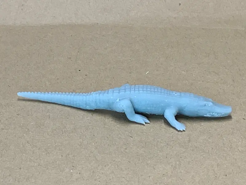 Alligator Relaxing 2