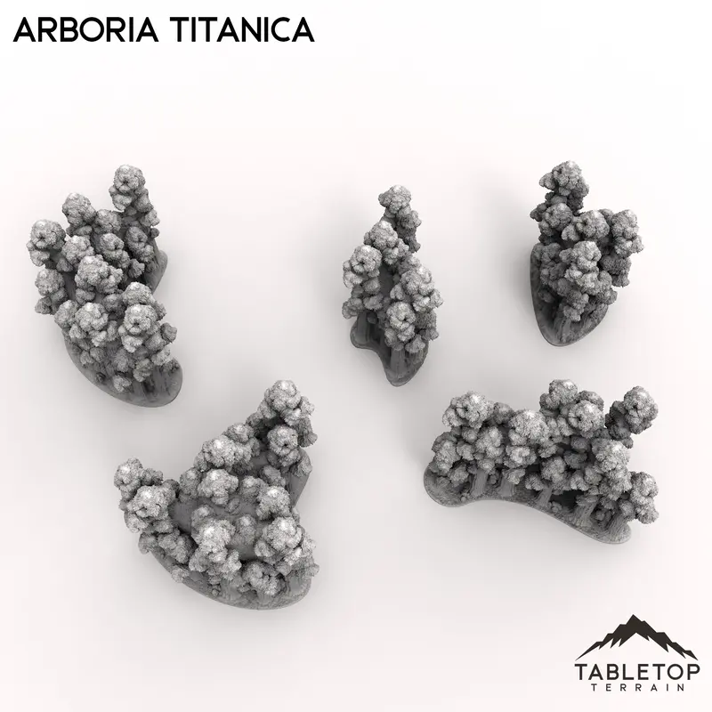Arboria Titanica - 6-8Mm 4