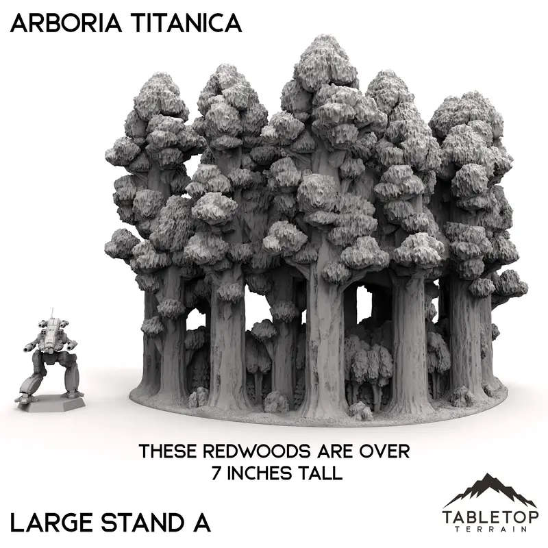 Arboria Titanica - 6-8Mm 5
