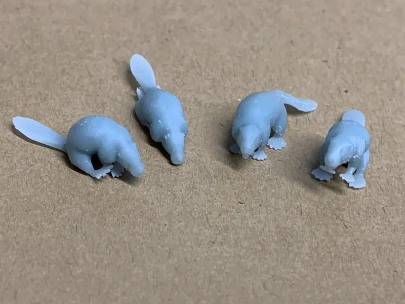 Beaver Set Of 4 Poses 1