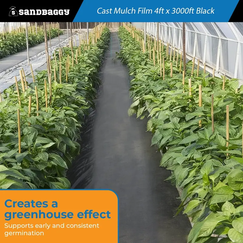 Black Cast Mulch Film Roll – 4 Ft X 3000 Ft, 1.25 Mil | High-Yield Garden Plastic Mulch 4
