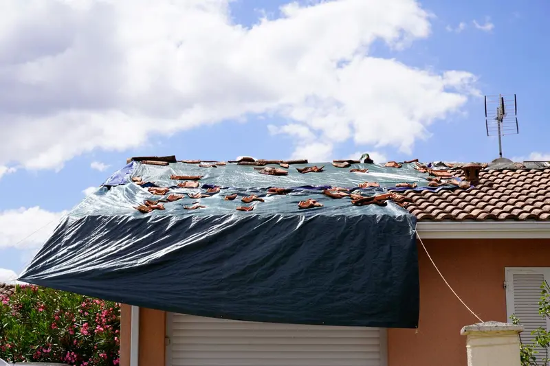 Black Poly Tarp - Roofing, Construction, Gardening - Made In Usa 11