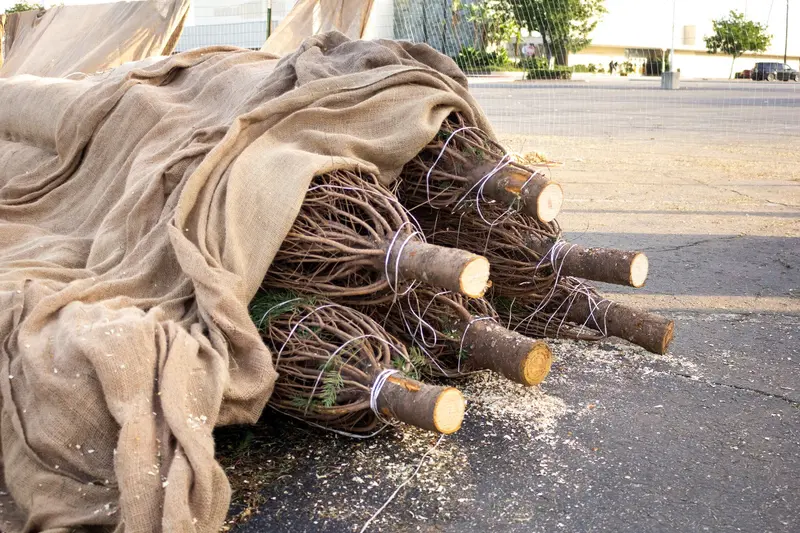 Burlap Squares - 80" X 80" - Landscaping, Gardens, Decor 11