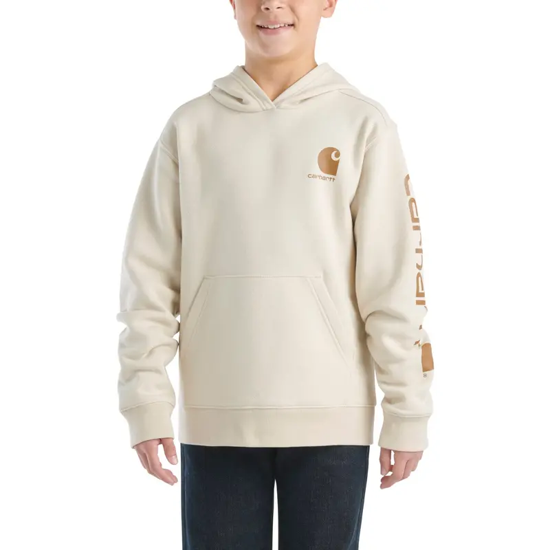 Carhartt Boys' Long Sleeve Graphic Sweatshirt 1