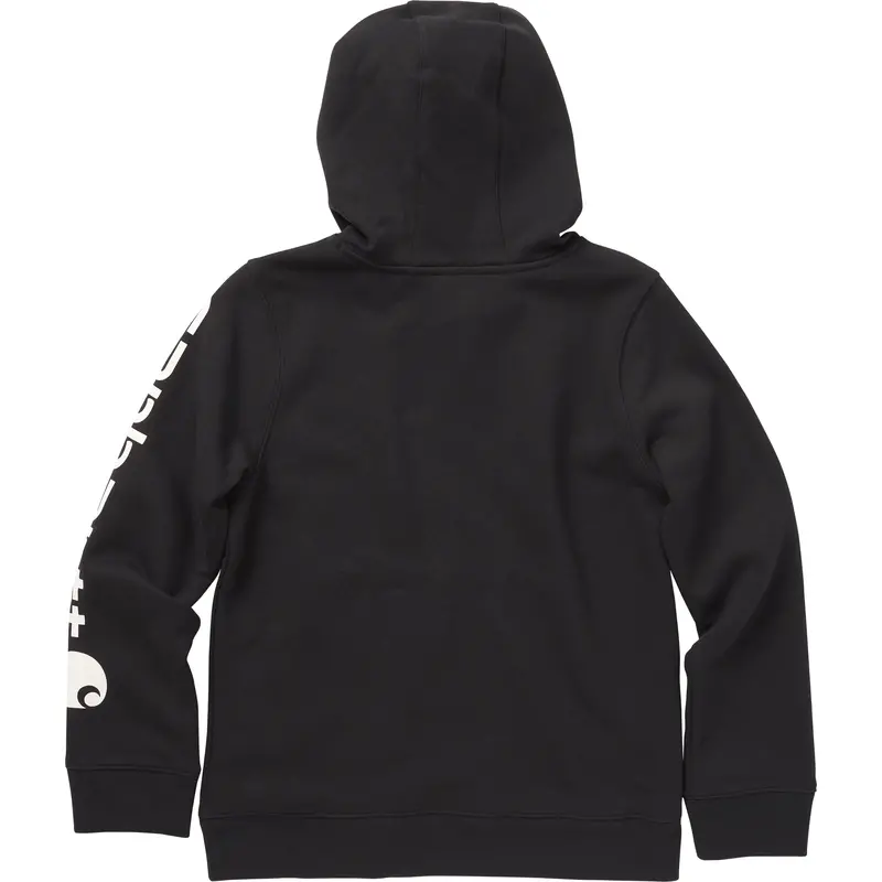 Carhartt Boys' Long Sleeve Graphic Sweatshirt 19