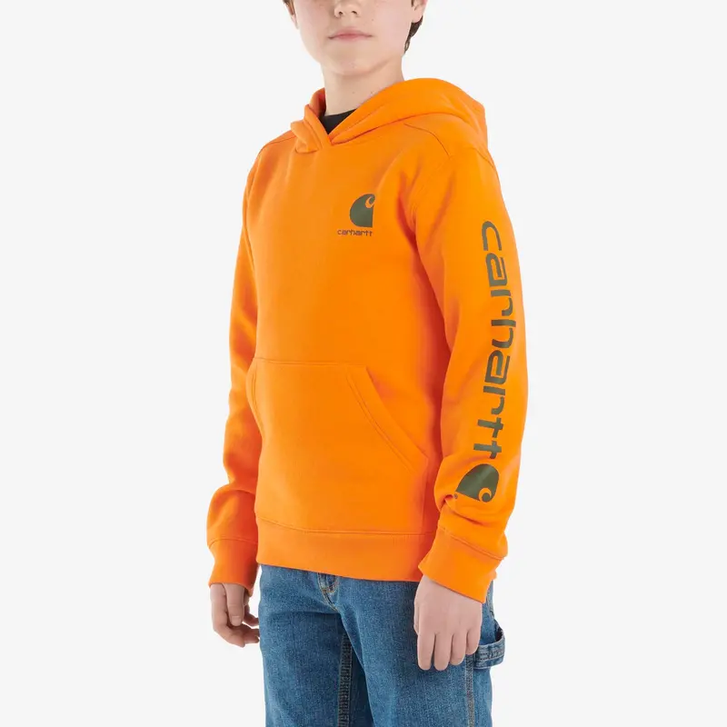 Carhartt Boys' Long Sleeve Graphic Sweatshirt 8