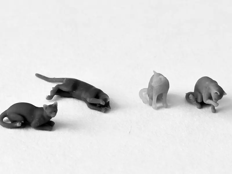 Cats Stationary Poses 1