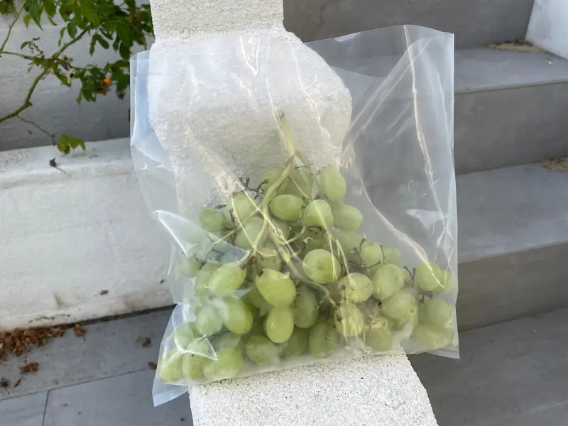 Clear Poly Bags | Two Sizes - 9" X 12" & 10" X 10" | Industrial Grade Polyethylene Film | Food Grade Plastic Compliant With Fda & Usda | 100% Recyclable 2