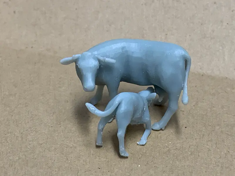 Cow With Calf Nursing 1