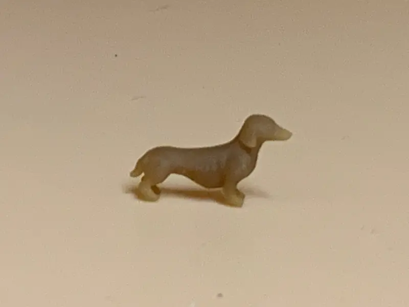 Dachshund Standing Leo 1