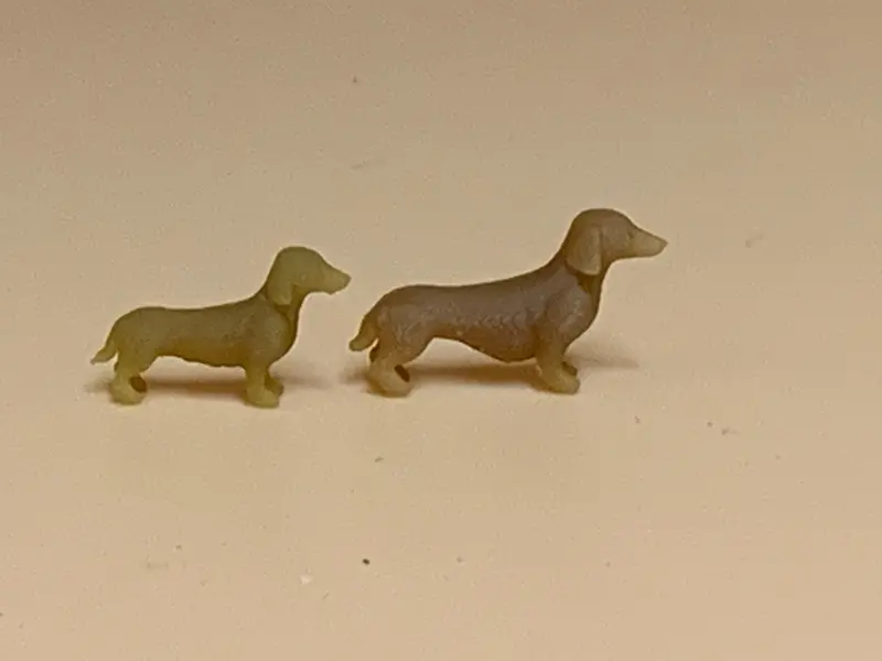 Dachshund Standing Leo 2