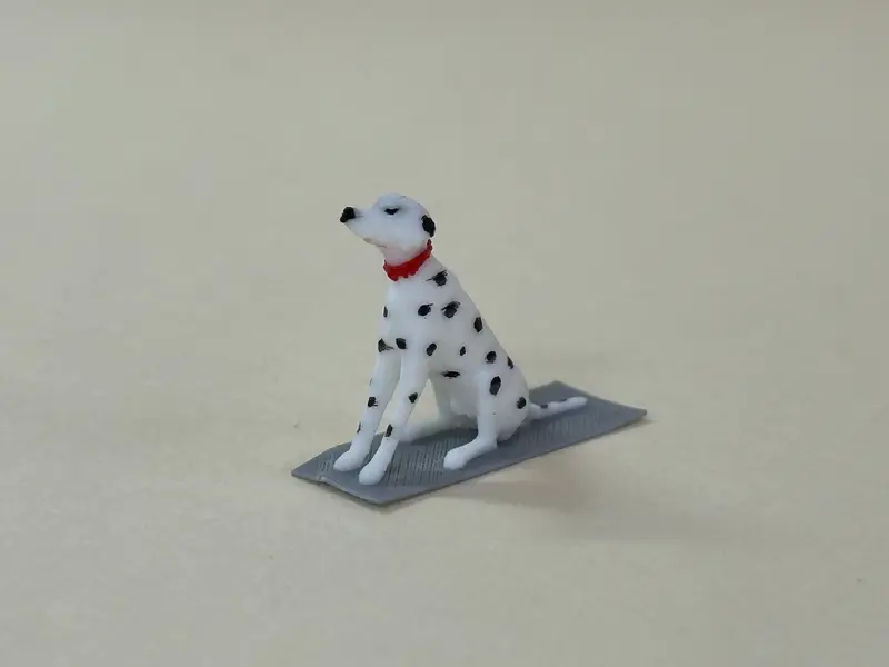 Dalmatian Sitting 1