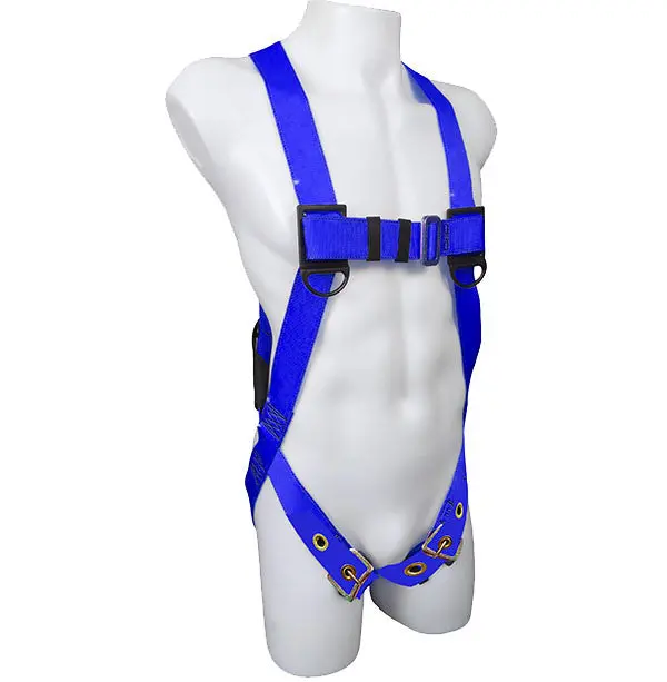 Dentec Safety Harness 1