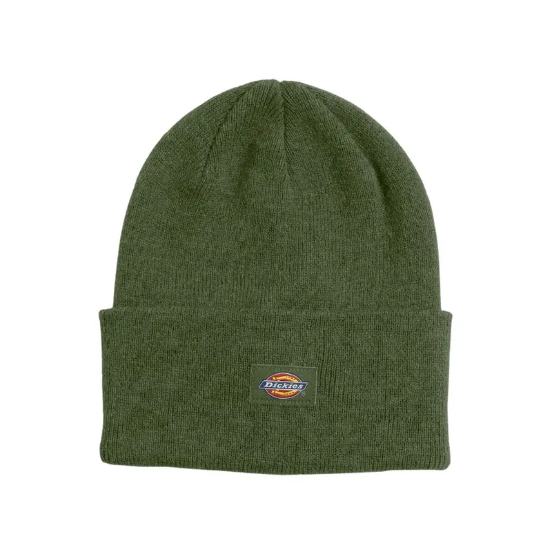 Dickies Men's Tall Cuff Beanie Whc200 - Cypress 1