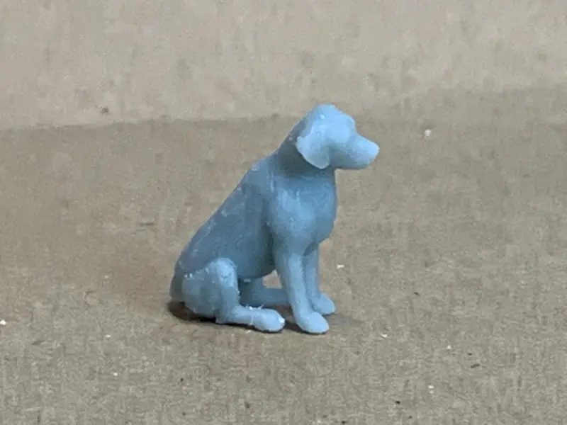 Dog Labrador Retriever Sitting 1