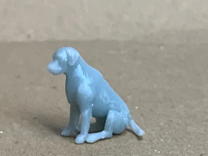 Dog Labrador Retriever Sitting 2