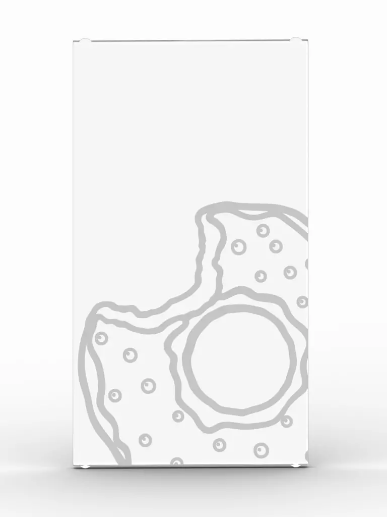Donut Window - Outline 1