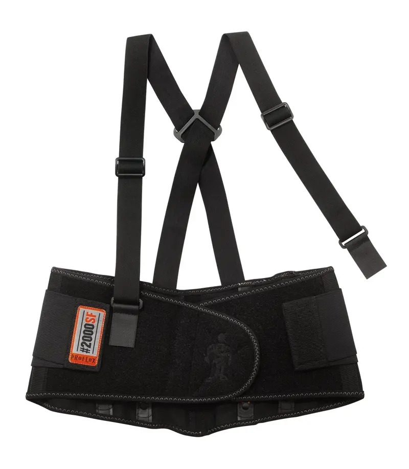 Ergodyne High Performance Back Support 1