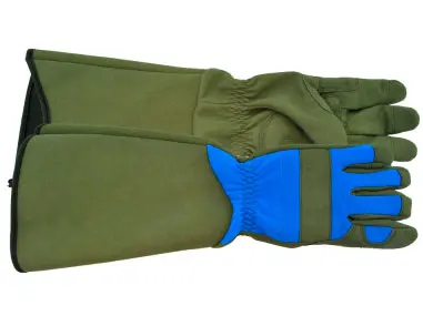 Game Of Thorns Gloves 1