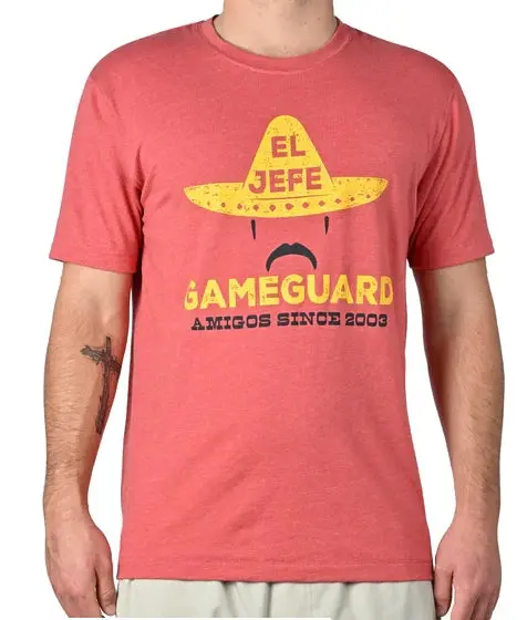 Gameguard Lava Rock Graphic 1