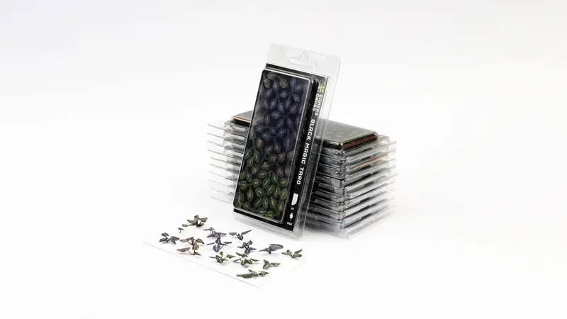 Laser Plants: Black Magic Taro 1