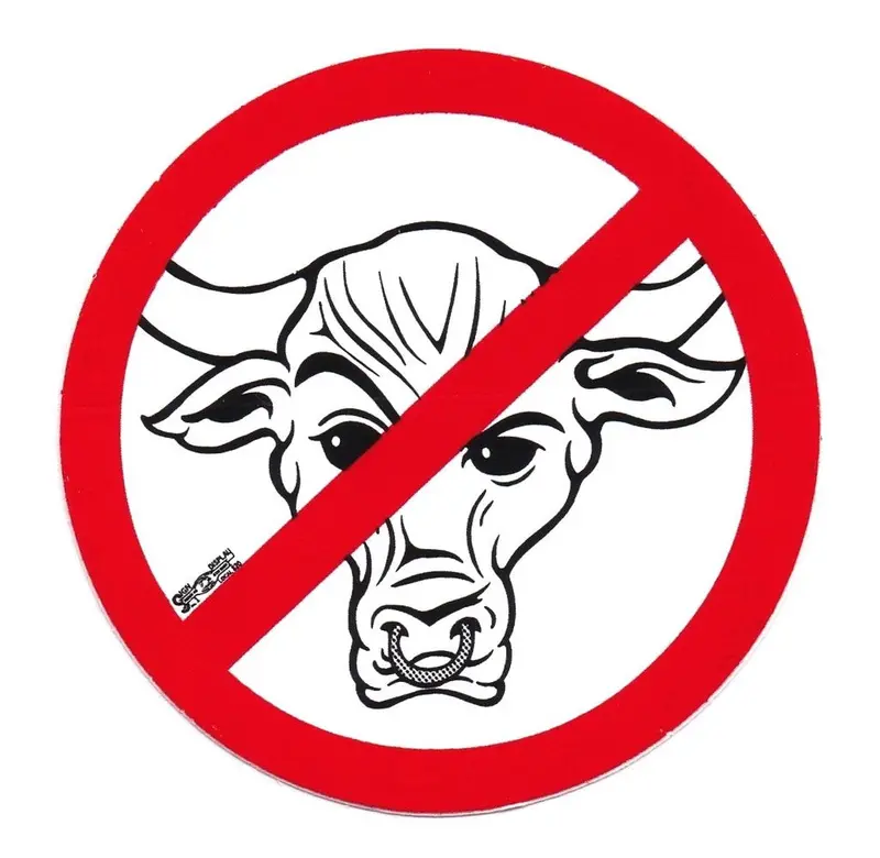 No Bull Hard Hat Sticker #T01 1