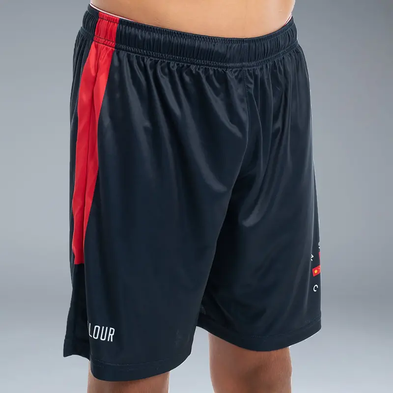 Nsw Cis Football / Hockey / Volleyball Shorts 1