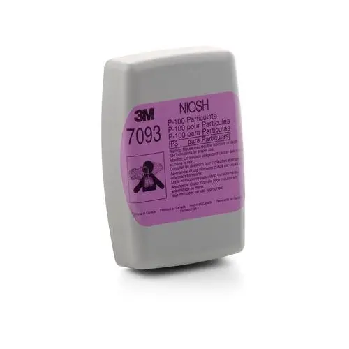 Particulate Filter 1