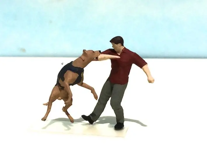 Police K-9 Unit Take Down 1