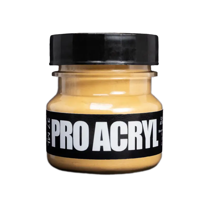 Pro Acryl Weathering Pigments 06 - Raw Sienna 1
