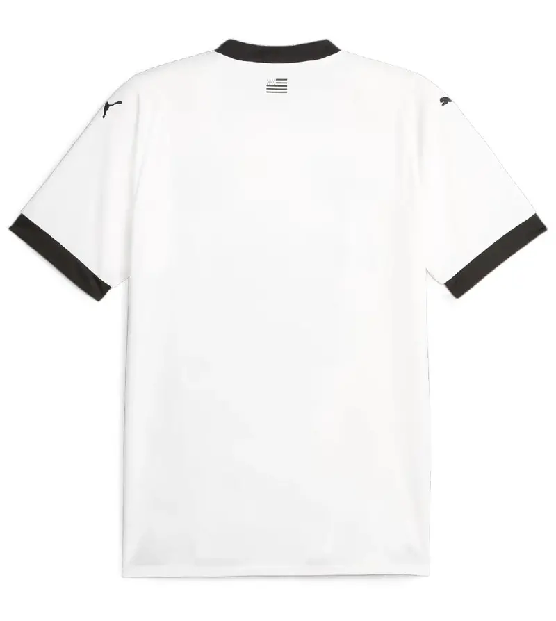 Puma Srfc Away Jersey 77113002 2