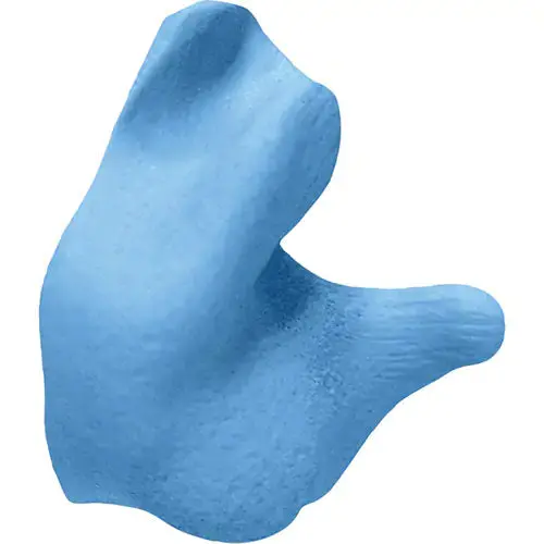 Radians Custom Molded Earplugs 1