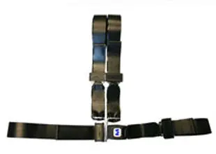 Shoulder Harness Strap System 1