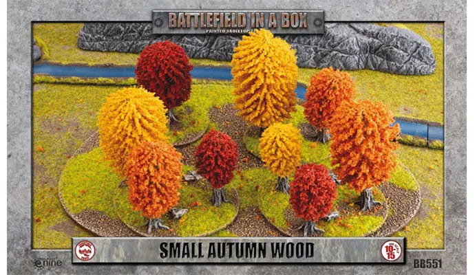 Small Autumn Wood 1