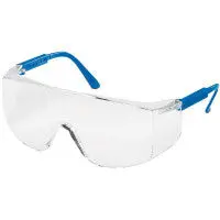 Tacoma Safety Glasses 1
