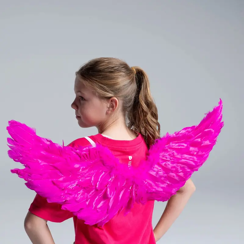 Thunderbirds Wings 1
