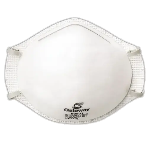 Truair®  N95 Respirator 1