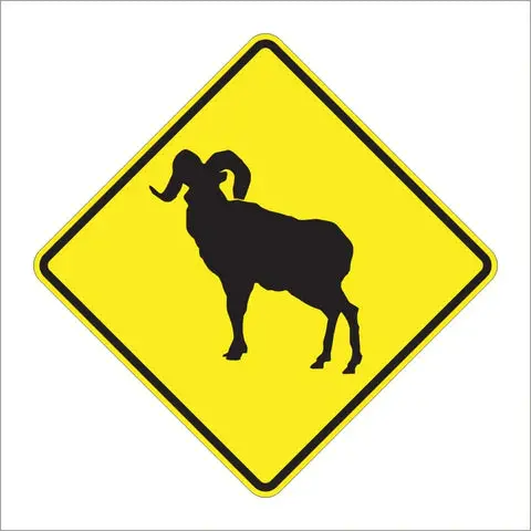 W11-18 Bighorn Sheep Sign 1