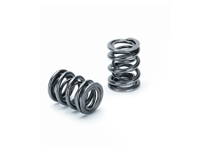 Supertech Dual Valve Spring Kit – Single Pack For Vw 1.8L/2.0L 8V Engines (Drop Ship) 1